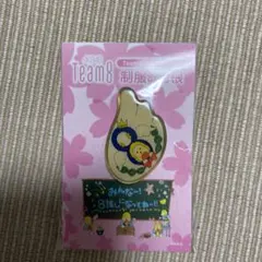 ピンバッジ　AKB48 Team8