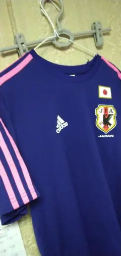 なでしこジャパンモデル