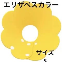 Item thumbnail for item 1846abdf-87a5-44b3-bc4c-20e49574aa84