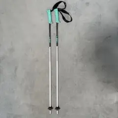 ガード付き LEKIストック 100cm LEKI(レキ)ストック・プロテクター2023-2024NEWモデル