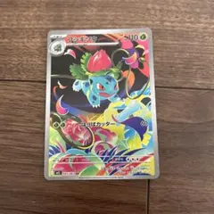 フシギソウ•デリバード ポケモンカードセット
