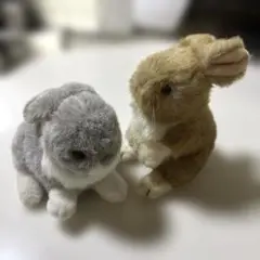 リアルなウサギぬいぐるみセット
