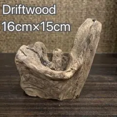 流木　お椀型　16cm×15cm
