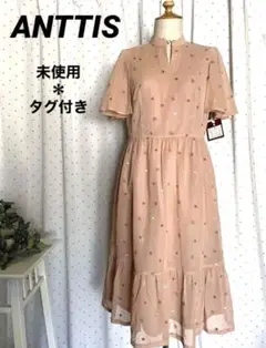 ANTTIS 刺繍　コットン　半袖　ワンピース