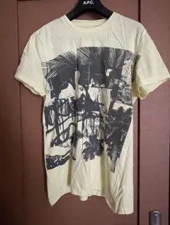 AMERICAN EAGLE 風景プリント メンズTシャツ