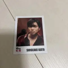 NEWS 変身 チェキ風カード 加藤シゲアキ