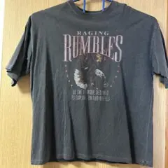 WEGO RAGING RUMBLES Tシャツ Mサイズ ダークグレー