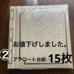 ナカバヤシフェルアルバム　Lサイズ台紙15枚セット済み(替台紙、5枚プラス)
