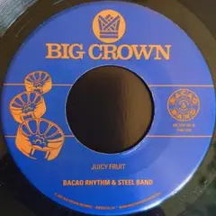 BACAO RHYTHM u0026 STEEL BAND - JUICY FRUIT