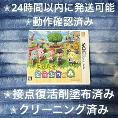 とびだせ どうぶつの森 3DS カセット & ケース
