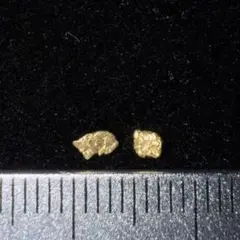 Item thumbnail for item 60cce657-3716-4b38-9576-f426d1d30e5d