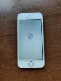 ジャンク!iPhone5S