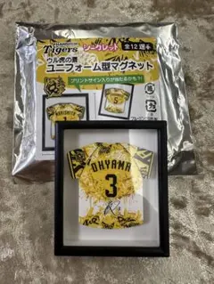 阪神タイガース 大山悠輔選手　ウル虎の夏 シークレット ユニフォーム型マグネット