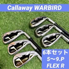 Callaway キャロウェイ ゴルフクラブ WARBIRD アイアンセット R
