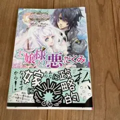 お嬢様の悪だくみ