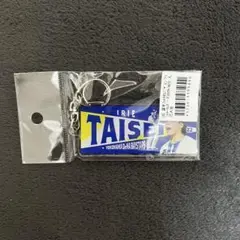 ベイスターズ　入江大生　フォトアクリルキーホルダー