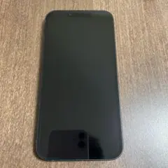 iPhone16e 本体　SIMフリー　美品