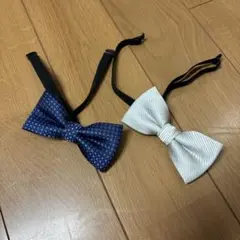 Item thumbnail for item 2bb541ea-dda9-4455-bdb8-ab954b8dd154