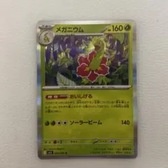 ポケモンカード　めがにうむ