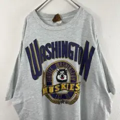 USA製 90s nutmeg カレッジ Tシャツ ヴィンテージ