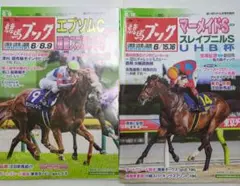 競馬ブック　週刊　競馬　雑誌　テンハッピーローズ　ラムジェット