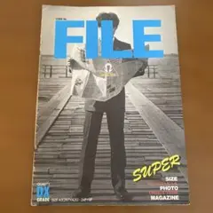 杉山清貴&オメガトライブ　FILE パンフレット　A3