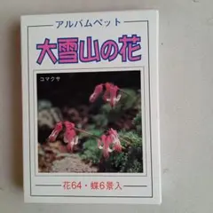 ■アルバムペット ■大雪山の花