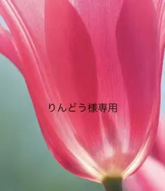 ディオールスキン フォーエヴァー クッション パウダー ラベンダー