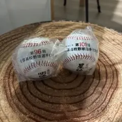 全国高校野球選手権大会 記念ボール　96回　明徳義塾高校　101回　星稜高校
