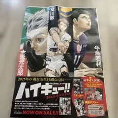 ハイキュー!! マガジン 2025年版 ポスター
