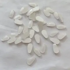 Item thumbnail for item e50f127f-522c-4646-a7ef-126fb7dbaaa6