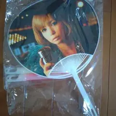 〔未使用、未開封〕こしょこたんライブグッズ（うちわとペンライト）