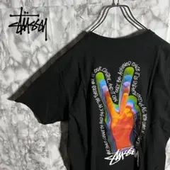 【大人気デザイン】ステューシー バックプリント ピース ストリート 黒 Lサイズ