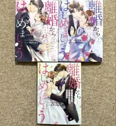 離婚からはじめましょうー極上社長はお見合い妻を逃さないー 全3巻