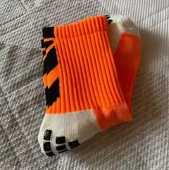 Item thumbnail for item 8f5f40e1-117d-4d44-b19c-a4b093b7e8f5