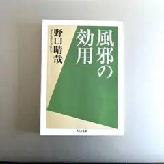 ☆貴重・初版☆ 野口晴哉著作全集・第一巻　初期論集一 2025年最新】野口晴哉著作の人気アイテム - メルカリ