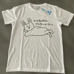 やる気はある　やる気しかない　Tシャツ　サイズM
