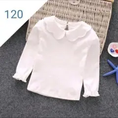 120 ブラウス☆新品 ホワイトシャツ 白シャツ