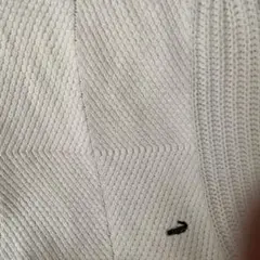 本日のみクロコダイル白ベスト