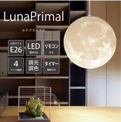 月ライト30cm E26 LED ムーンライト