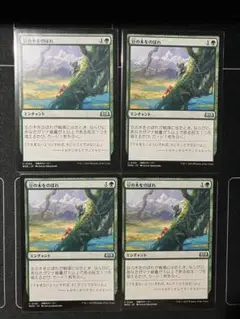 豆の木をのぼれ 4枚セット