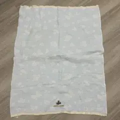 ミッキー模様の水色タオルケット