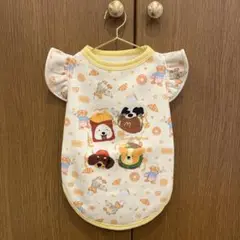 Item thumbnail for item 0760558f-53d8-42a8-beab-cb98ddb311cb