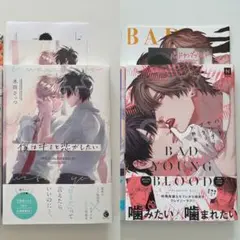 ③アフター・ミッドナイト・スキン(2)/ バッドヤングブラッド
