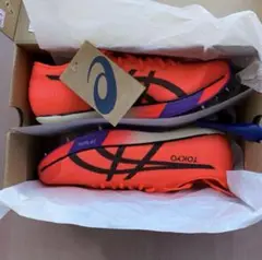 Item thumbnail for item e4d46695-6746-4974-92c1-6f3e6f39a9f1