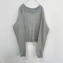 【1度のみ着用】カレッジ ロゴ スウェット プルオーバー グレー