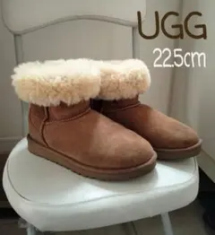 Item thumbnail for item 27ed64cb-647e-4faa-8565-56f67aee668f