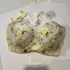 Item thumbnail for item 3643927c-dffc-4dca-ba6d-40a6f20b71d2