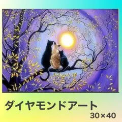 ダイヤモンドアートキット　猫　月　30*40　５D ラウンドビーズ