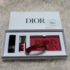未使用品✨ Dior ラゲージタグセット
